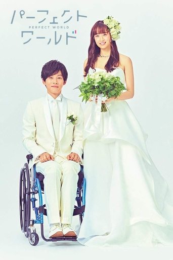 Perfect World poster