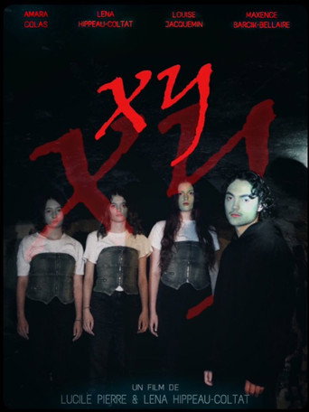 Movie poster for XY