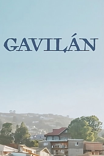 Movie poster for Gavilàn (2023)