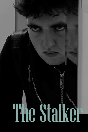 Movie poster for The Stalker (2022)