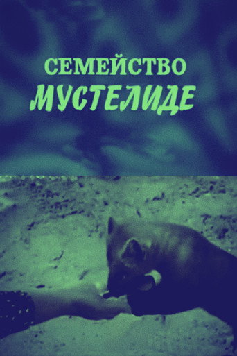 Movie poster for The Mustelidae Family (1975)