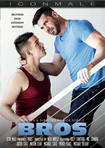 Movie poster for Bros (2018)