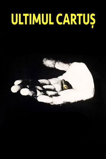 The Last Bullet poster