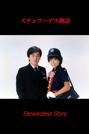 Stewardess Story poster