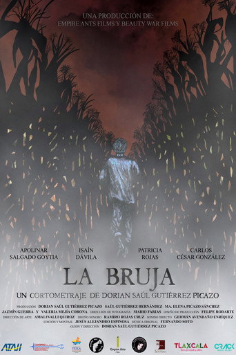 Movie poster for The Witch (2021)