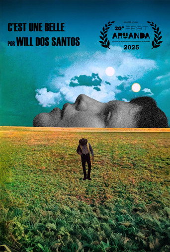 Movie poster for c’est une belle