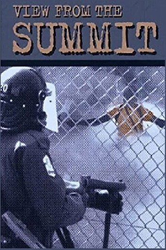 Movie poster for View from the Summit (2002)