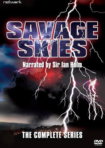 Savage Skies poster