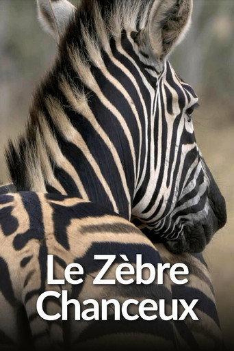 Movie poster for Le Zèbre chanceux (2023)