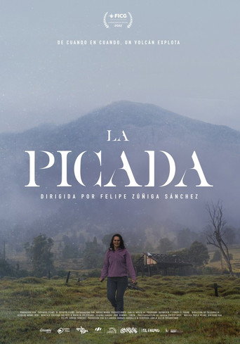 Movie poster for La Picada (2022)