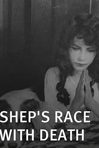 Movie poster for Shep's Race with Death (1914)