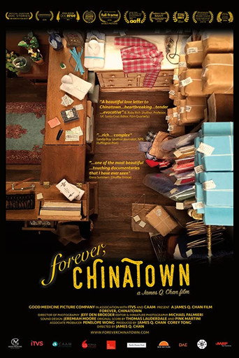 Movie poster for Forever, Chinatown (2016)