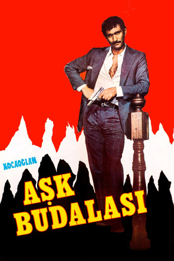 Movie poster for Kocaoğlan: Aşk Budalası (1964)