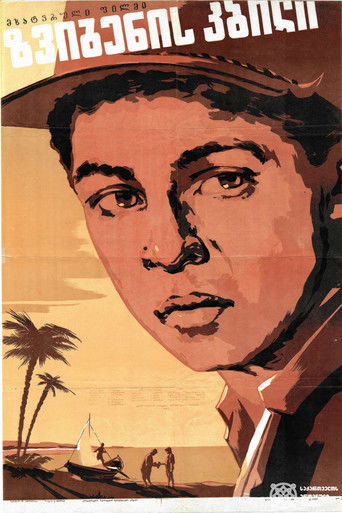 Shark's tooth poster