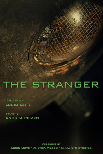 Movie poster for The Stranger (2013)