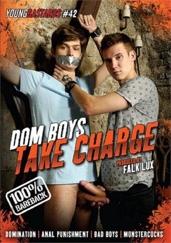 Movie poster for Young Bastards 42: Dom Boys Take Charge (2022)