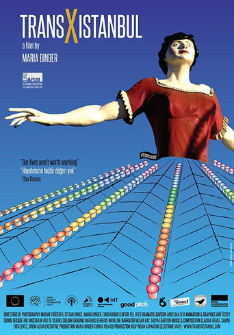 Movie poster for Trans X Istanbul (2014)