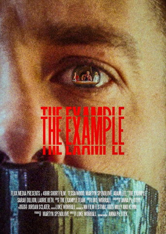 Movie poster for The Example (2024)