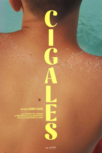 Movie poster for Cicadas (2024)