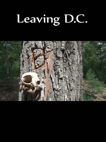 Movie poster for Leaving D.C. (2013)