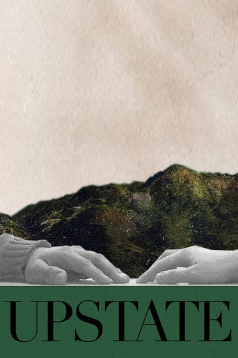 Movie poster for Upstate (2010)