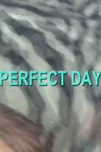 Movie poster for Perfect Day (2007)