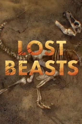 Lost Beasts poster