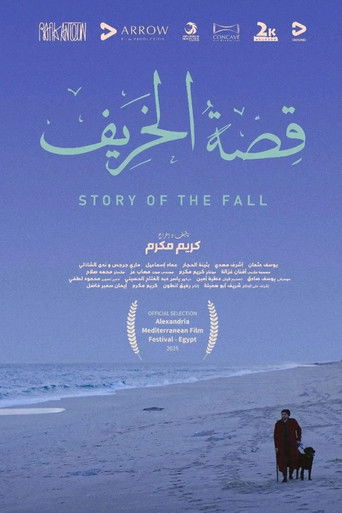 Story of the Fall poster