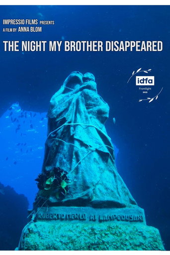 Movie poster for The Night My Brother Disappeared (2022)