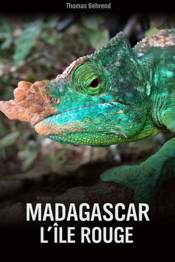 Unbekanntes Madagaskar poster