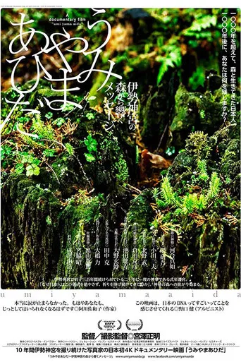 In Between Mountains and Oceans poster