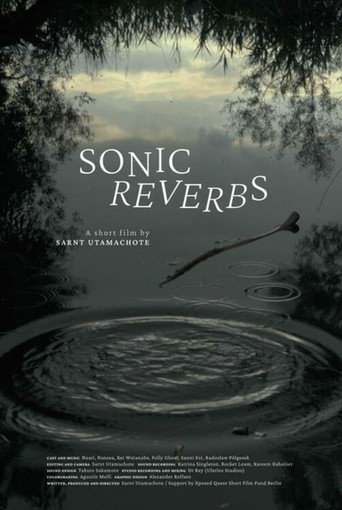 Movie poster for Sonic Reverbs (2022)