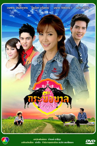 Buffalo Governance poster