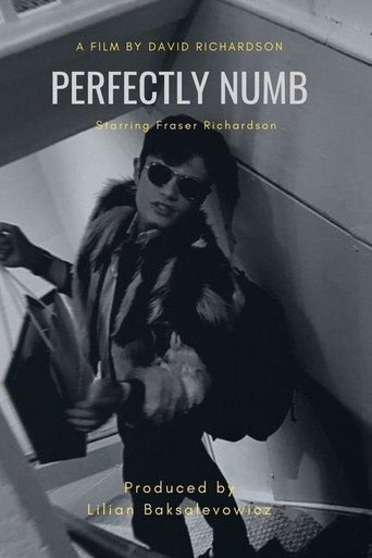 Movie poster for Perfectly Numb (2021)
