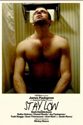Movie poster for Stay Low (2011)