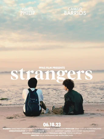 Movie poster for Strangers