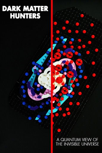 Dark Matter Hunters: a Quantum View of the Invisible Universe poster