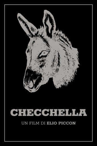 Movie poster for Checchella (1969)