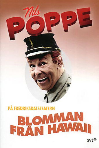 The Flower from Hawaii poster