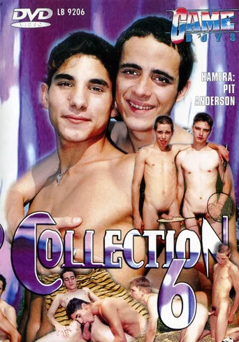 Movie poster for Game Boys Collection 6