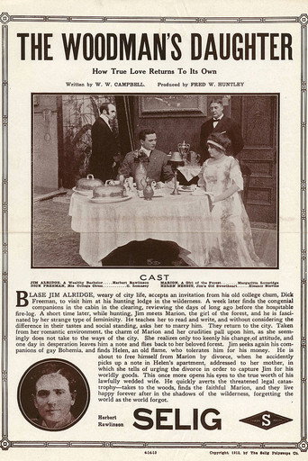 Movie poster for The Woodman's Daughter (1913)