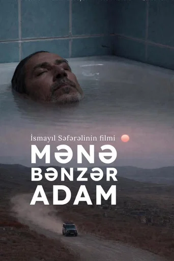 Movie poster for Mənə Bənzər Adam