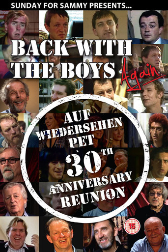 Back with the Boys Again poster