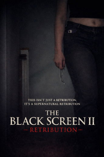 The Black Screen II - Retribution poster