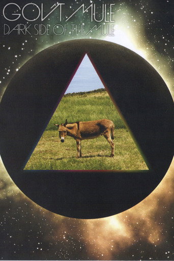 Movie poster for Gov't Mule - Dark Side of the Mule (2014)