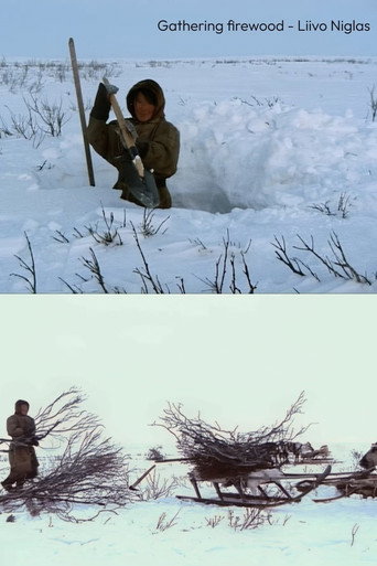 Movie poster for Gathering Firewood (2024)