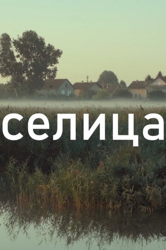 Migratory Bird poster