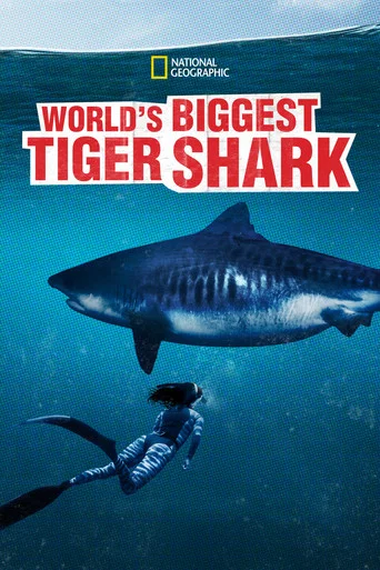 Movie poster for World's Biggest Tiger Shark (2020)