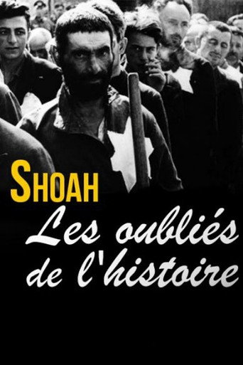 Movie poster for Shoah, les oubliés de l'histoire (2015)