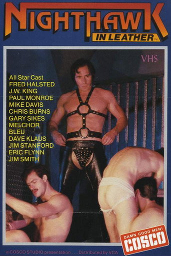 Movie poster for Nighthawk in Leather (1982)